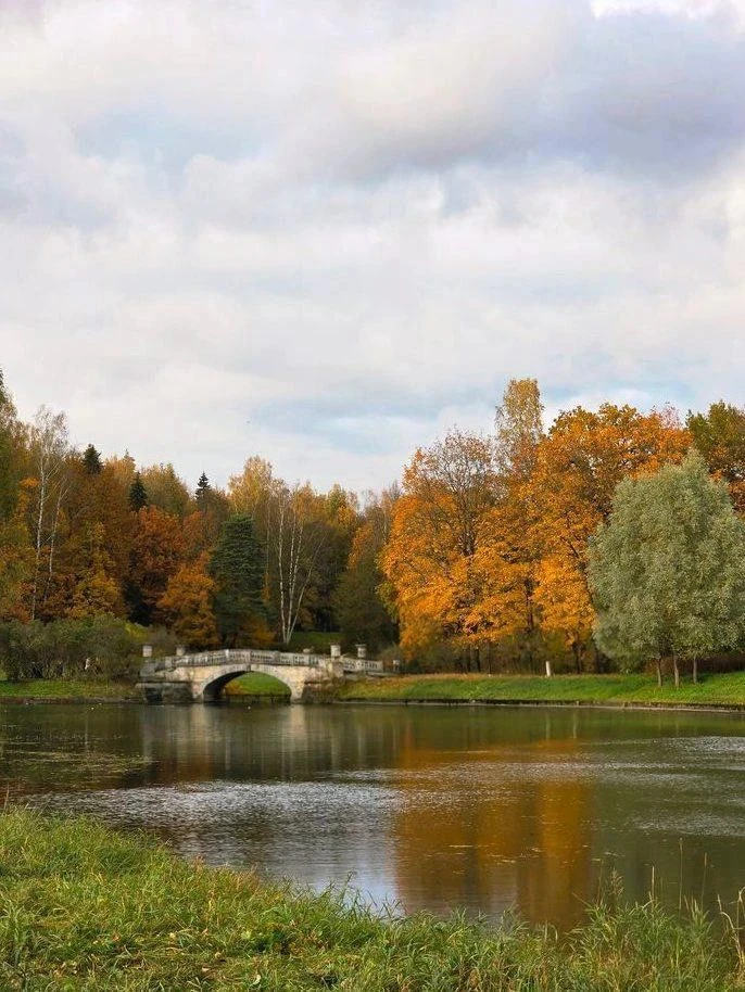 🍂Золотая осень в Павловском парке