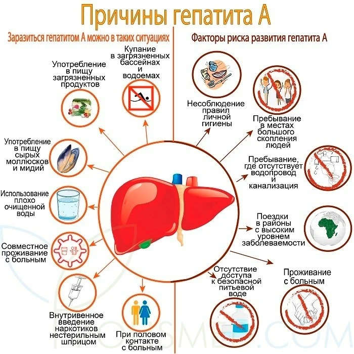 Причины Гепатита А