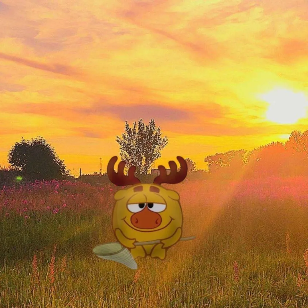 Лосяш ловит бабочек