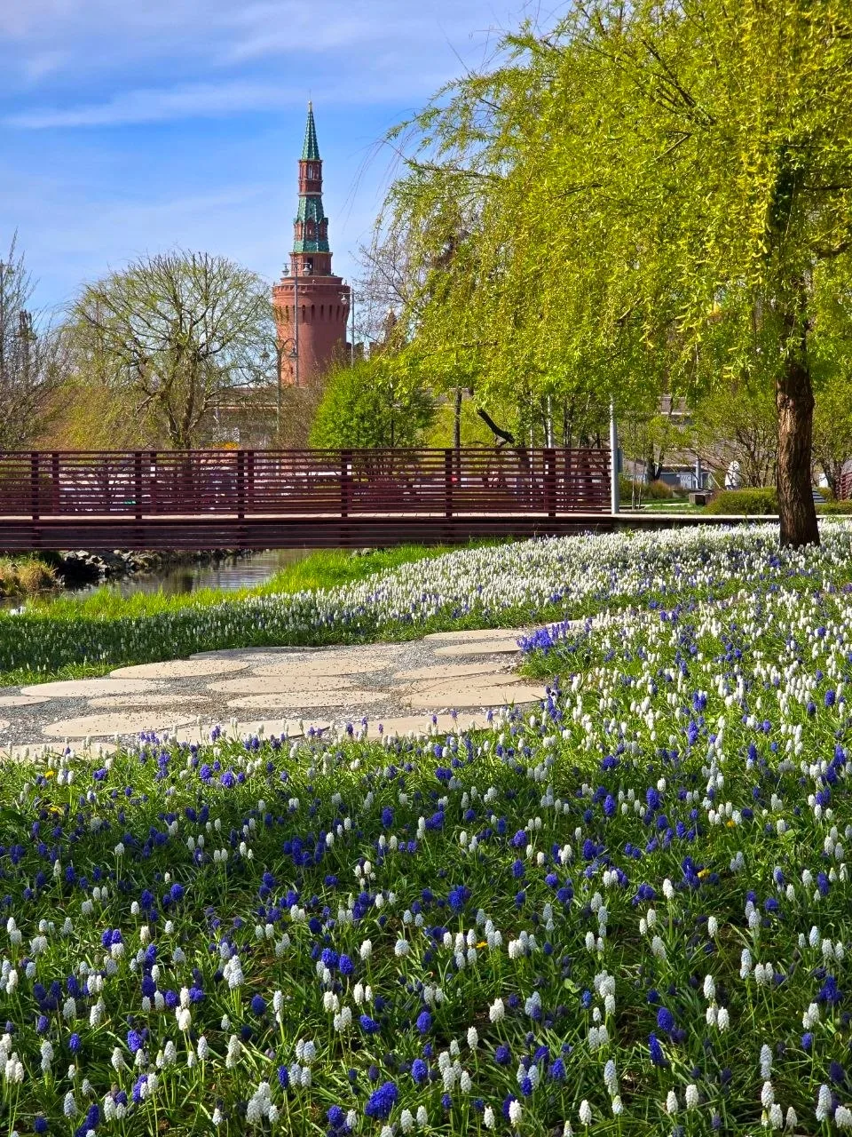 Мускари в парке Зарядье 💙
 
📸 Ирина Ишевских
#москва #цао #зарядье