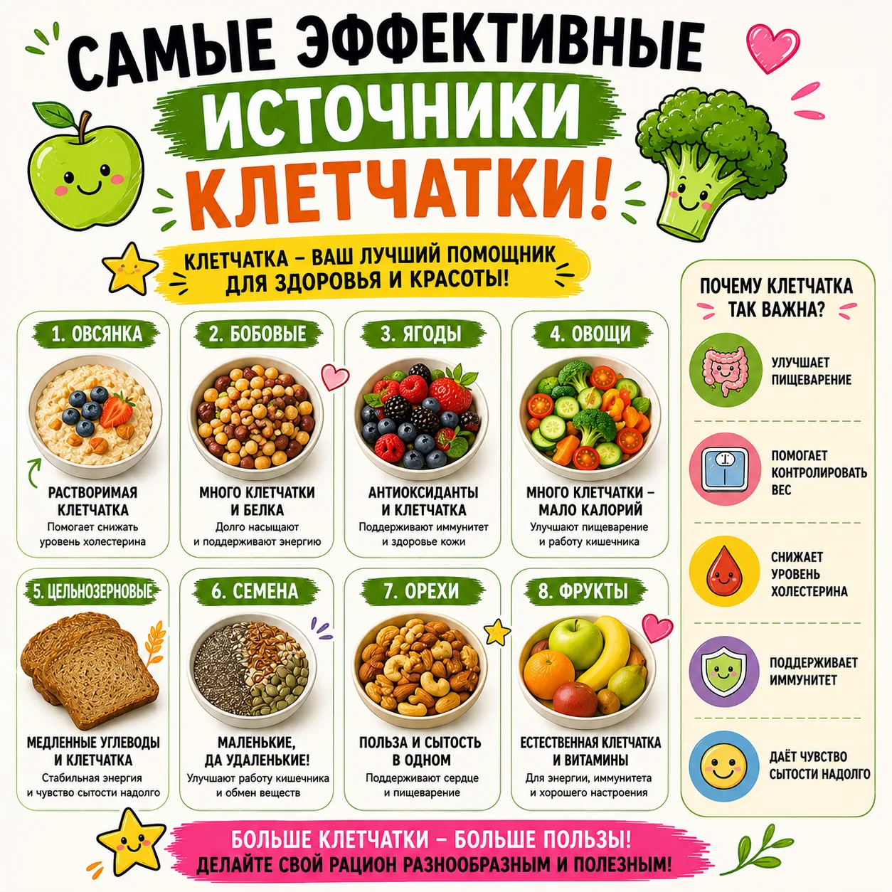 САМЫЕ ЭФФЕКТИВНЫЕ ИСТОЧНИКИ КЛЕТЧАТКИ