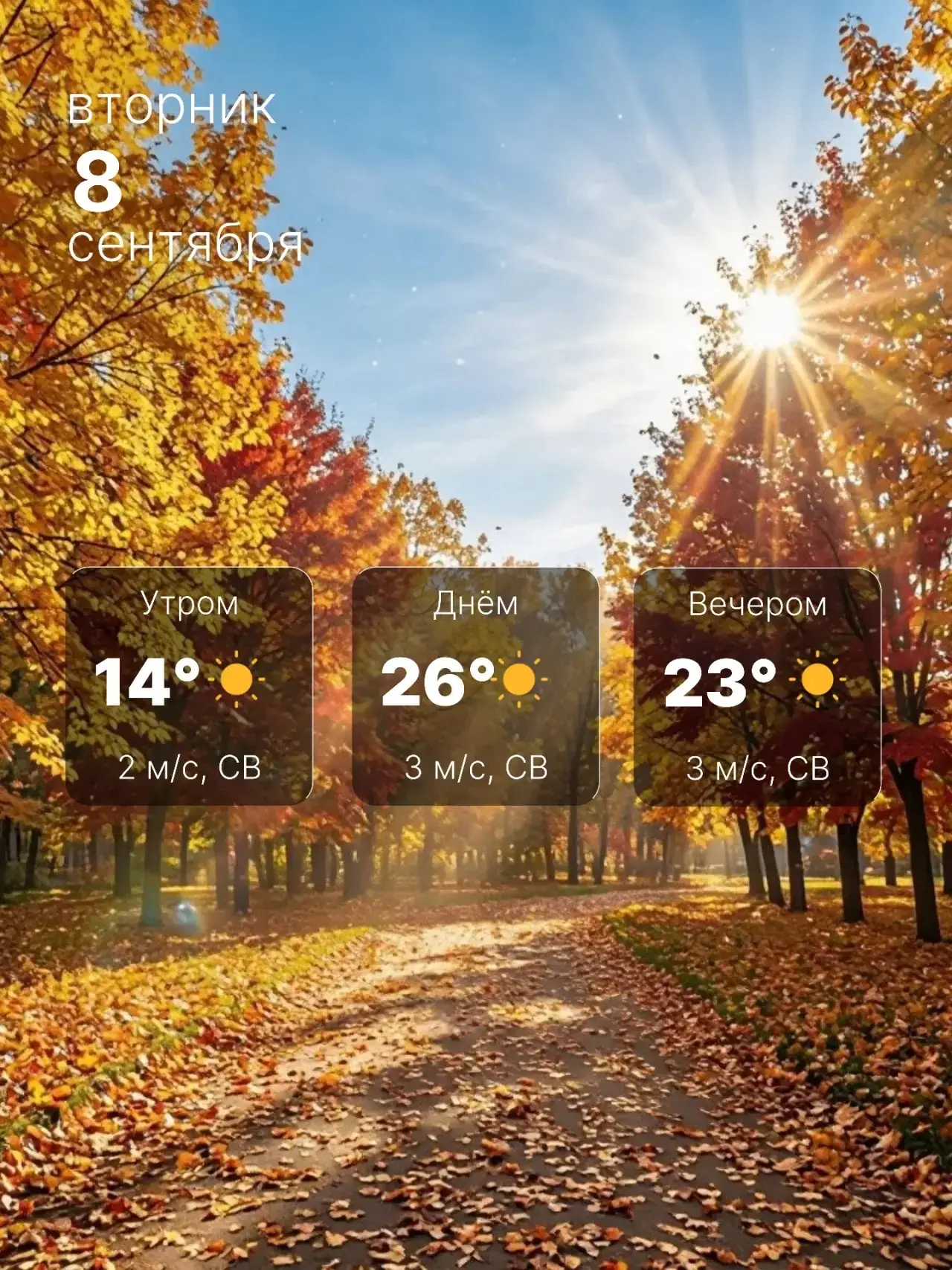 🌈 Тёплый солнечный день и до +26°C
