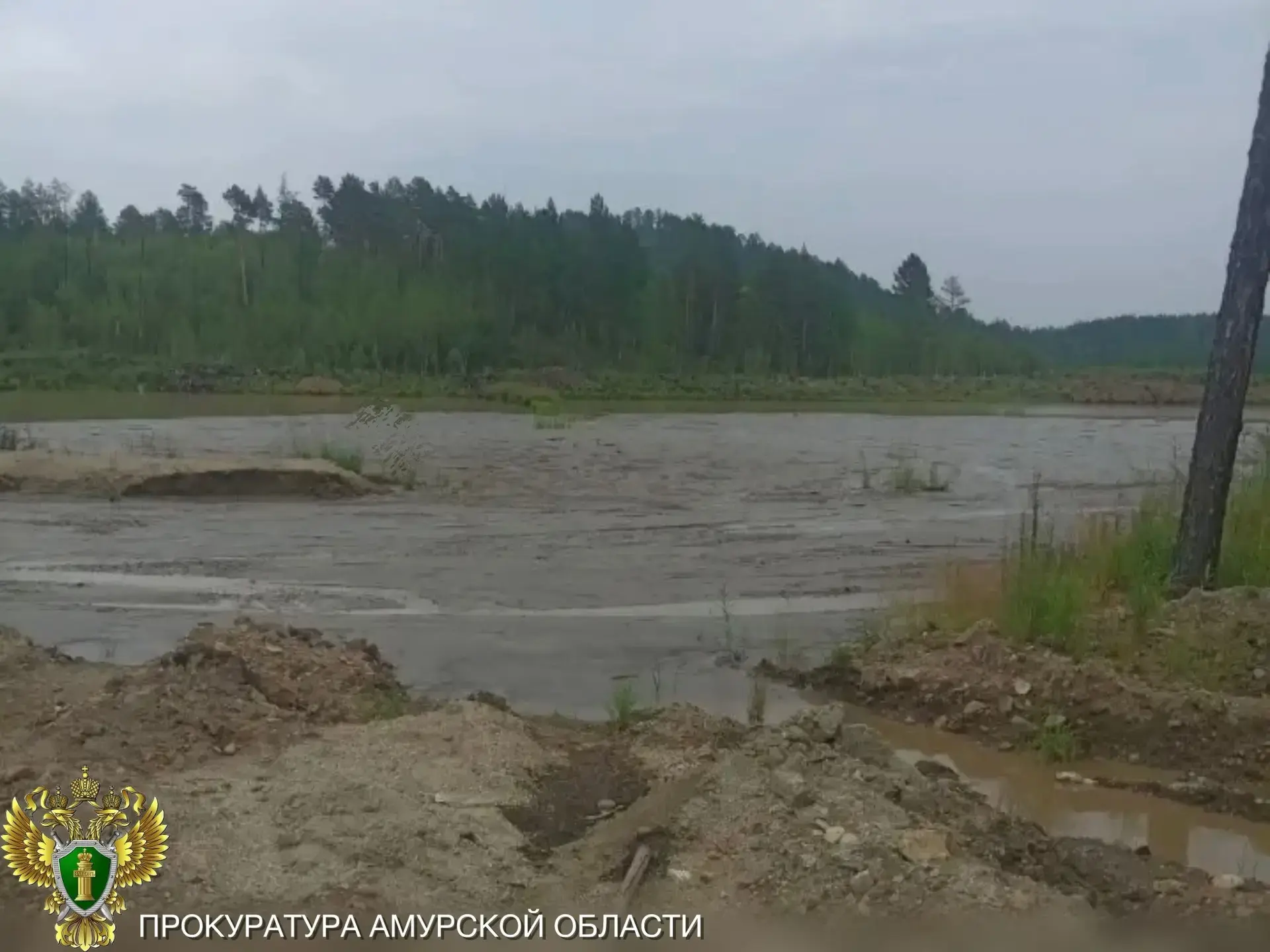 В Сковородинском муниципальном округе золотодобывающая компания выплатит компенсацию за вред, нанесе