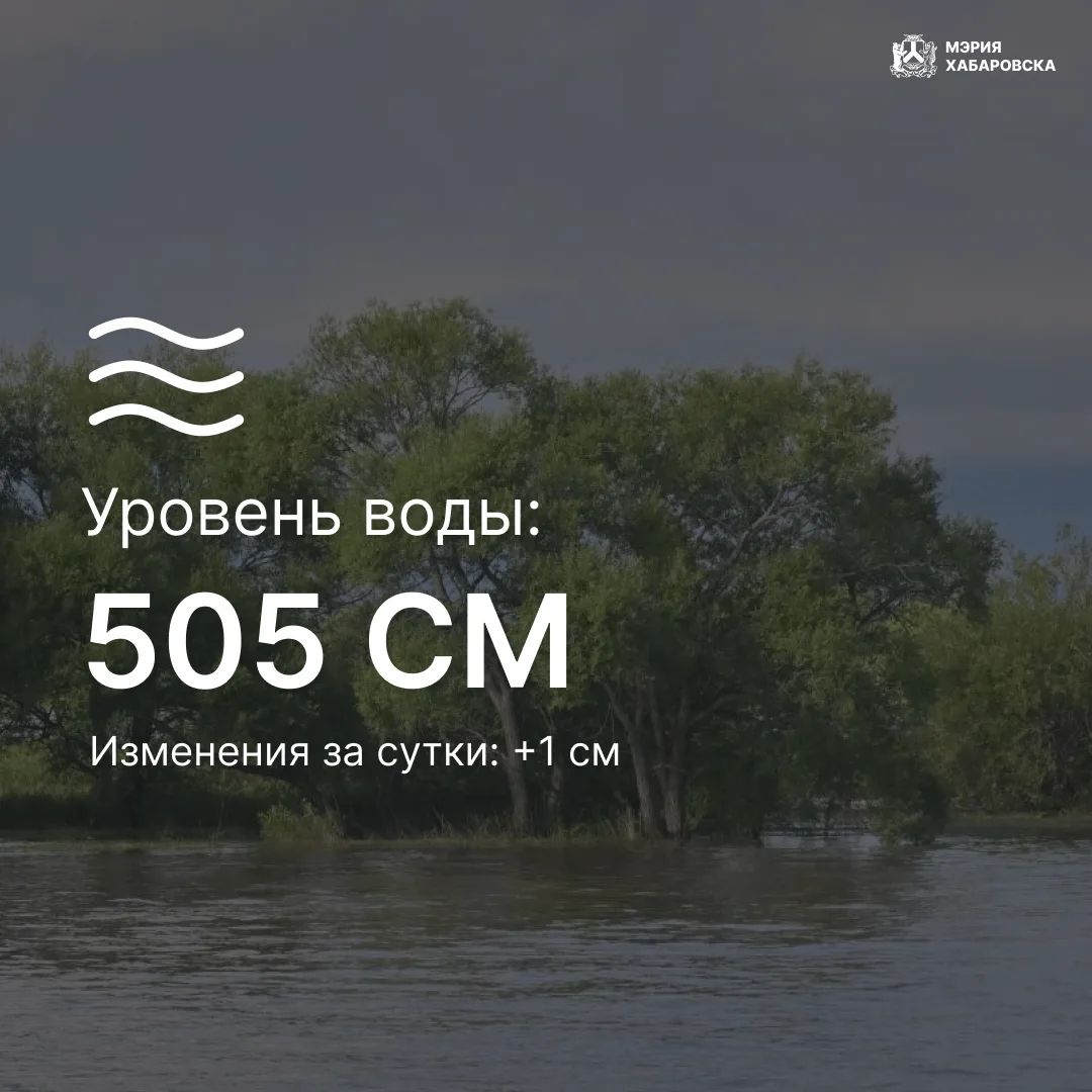 В связи с прохождением циклона наблюдается подъем уровня воды в реке Амур. На текущий м...