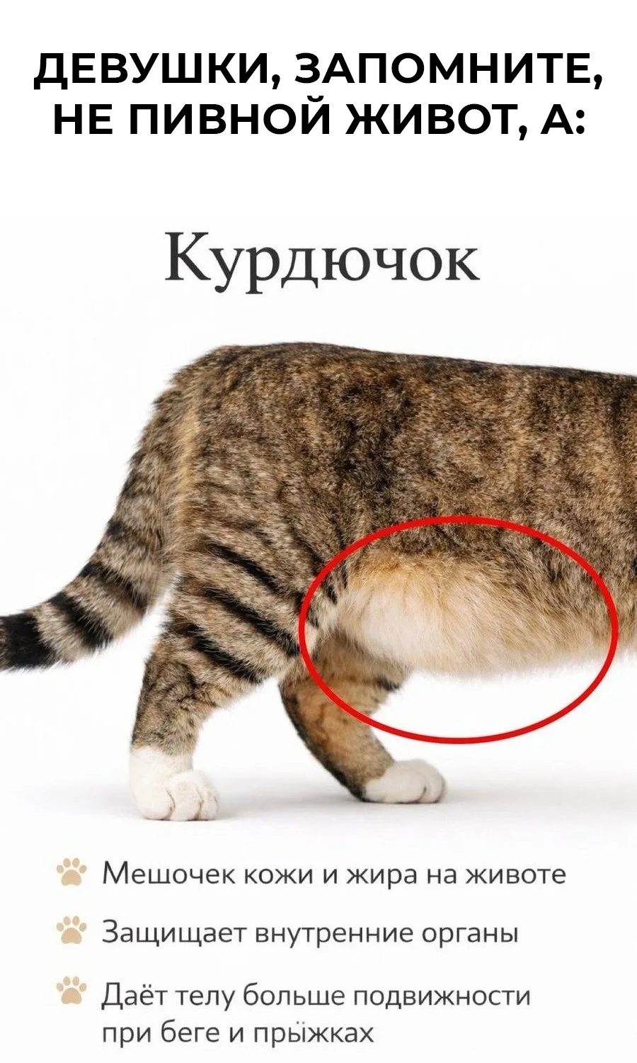Пopa ужe нaзывать это прaвильно