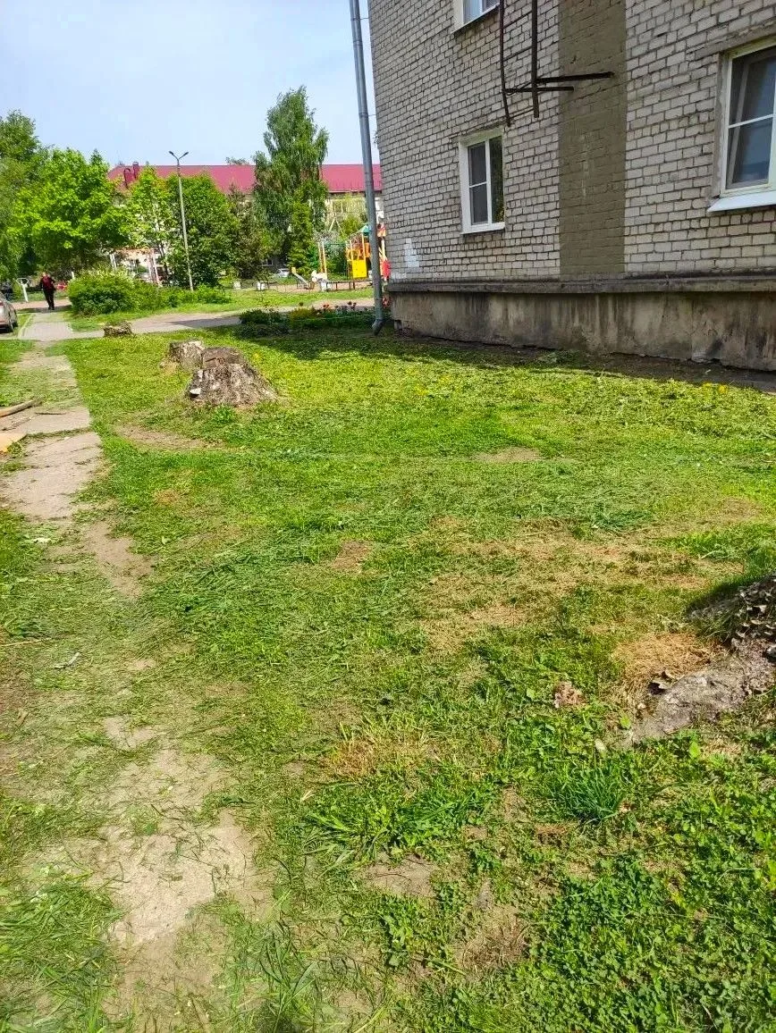 Конец недели — отличный повод подвести итоги 😉

✔ завершили первый этап покоса травы;

✔ подстригли