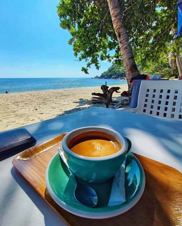 Понедельник создан не для грусти, а для бронирования тура мечты! 🏖️