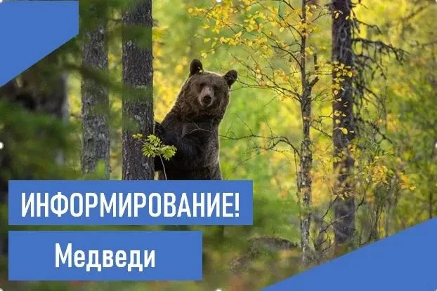 Сегодня, 6 октября, патрульная группа в составе полиции и председателя правления общест...