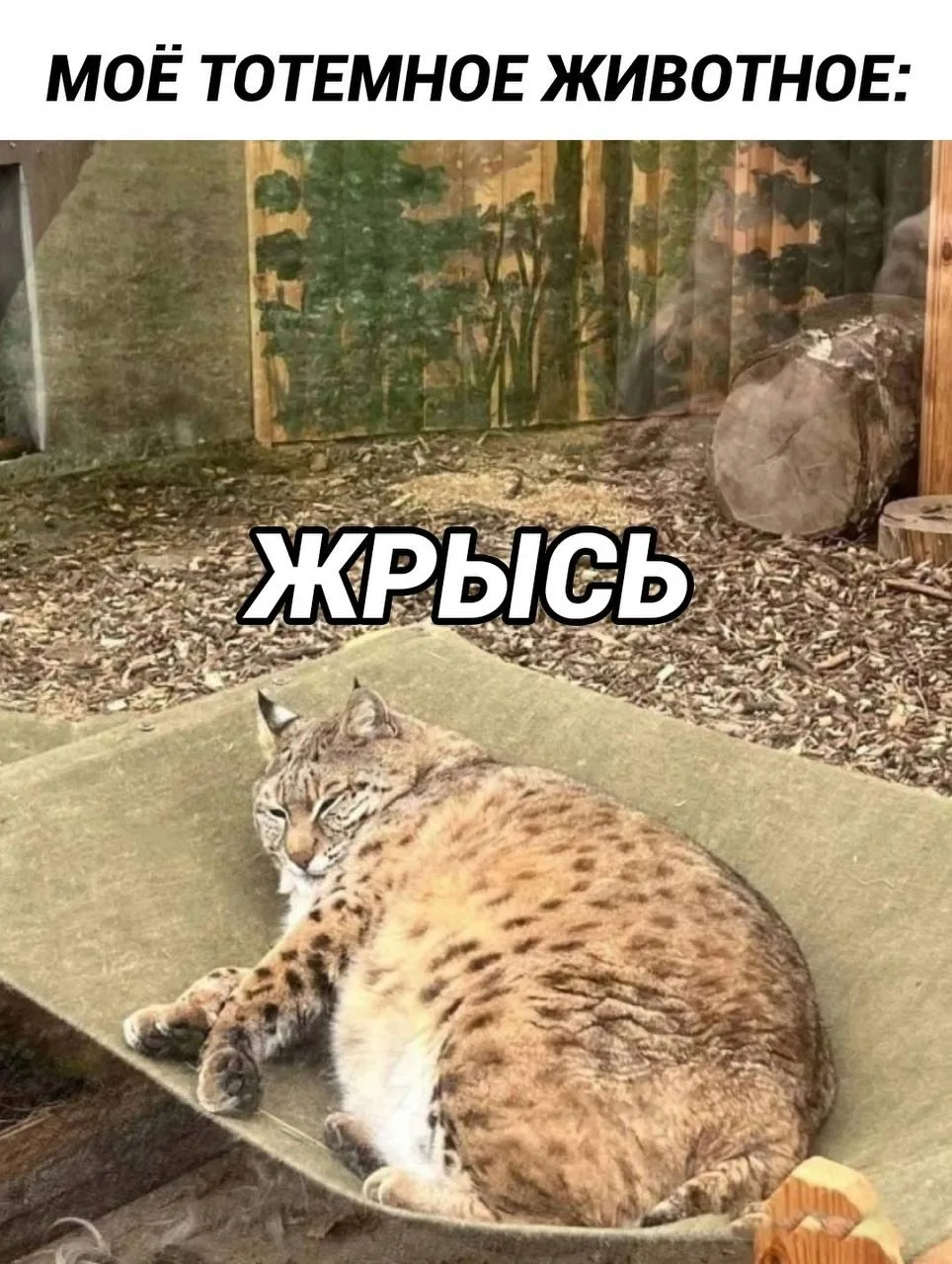 Мода Смеха