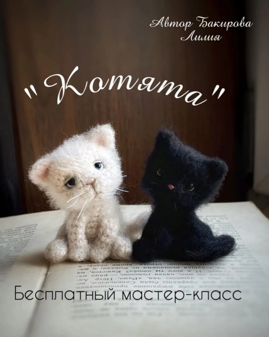 Котики 🐈‍⬛