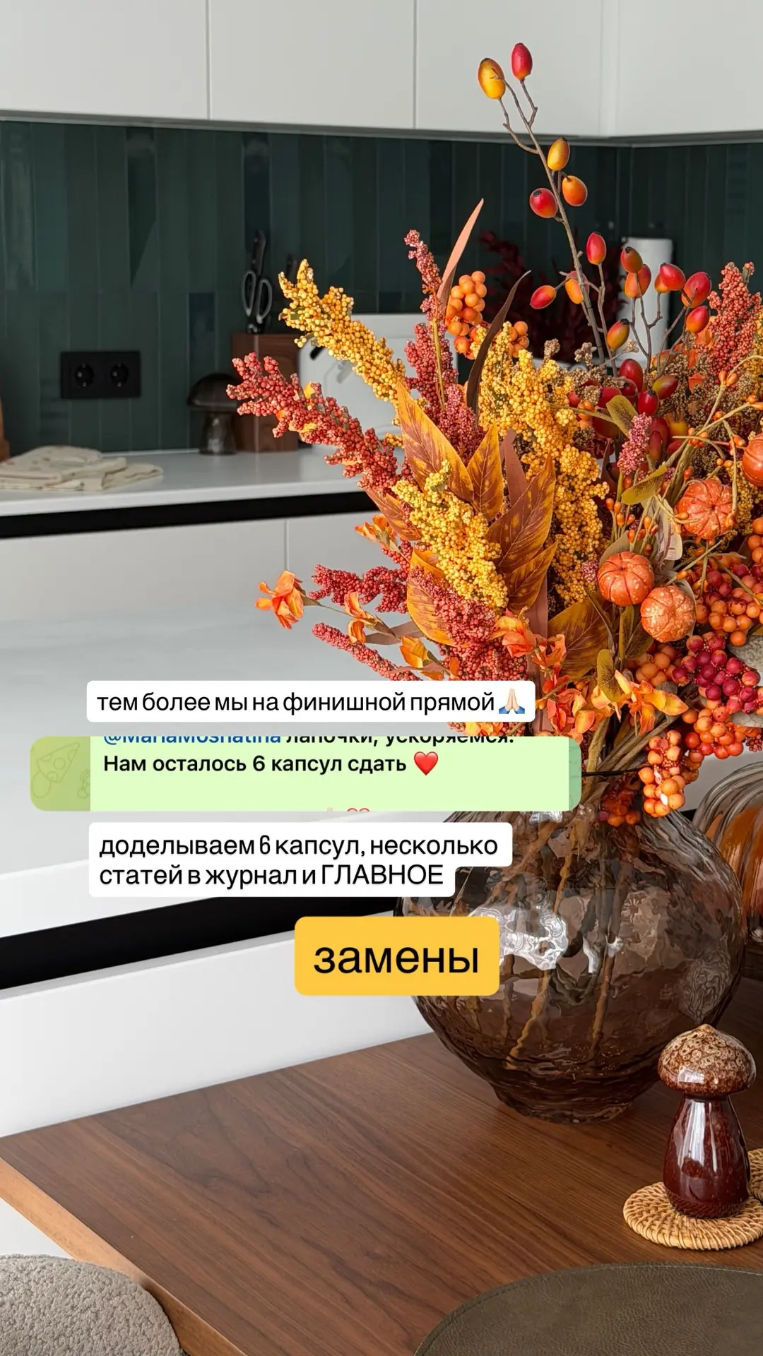 Нам осталось доделать 6 капсул, несколько статей в журнал и главное - замены