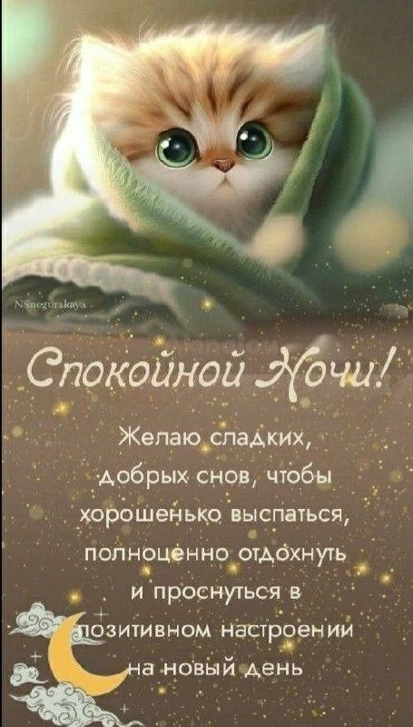 Открытки в ТГ
Открытки в МАХ