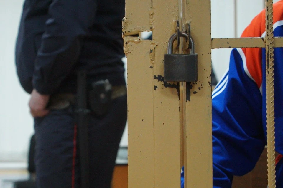 В Прокопьевске зарегистрированы случаи кражи из дачных домов. Два местных жителя обрати...