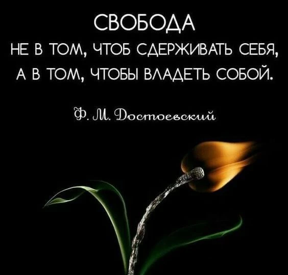 Цитаты жизни