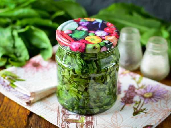 🌿 Засолка щавеля холодным способом