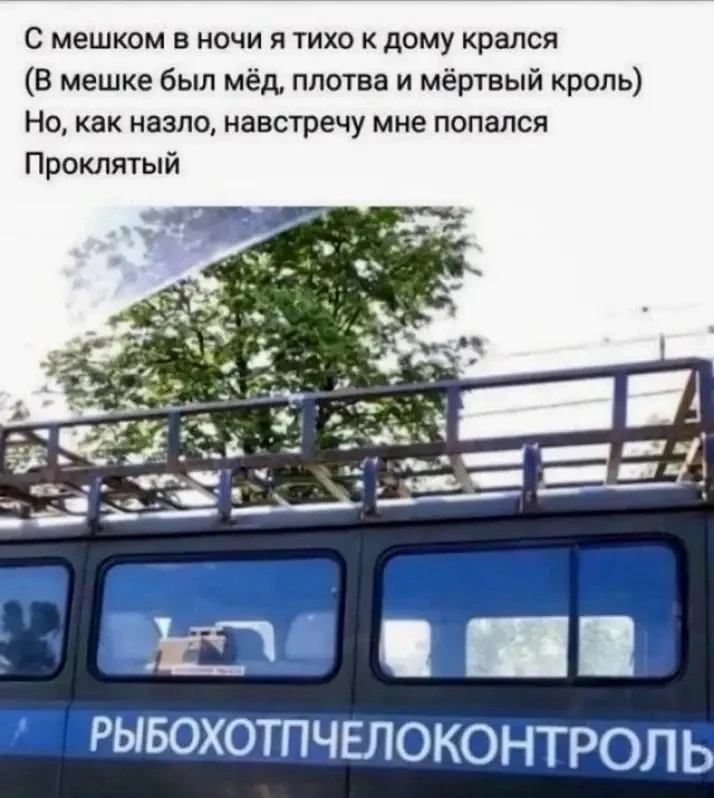 😂