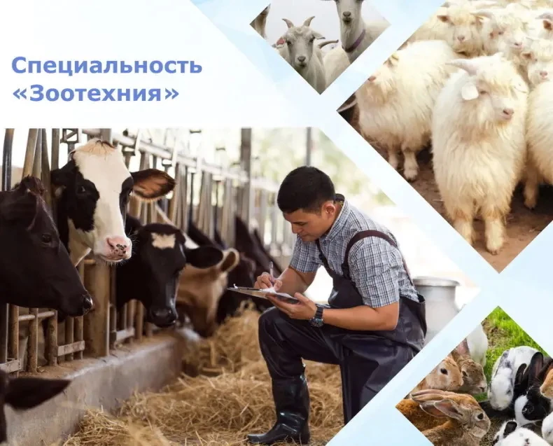 Вы любите животных и готовы уделять работе с ними все свое время, тогда зоотехния – это точно ваш вы