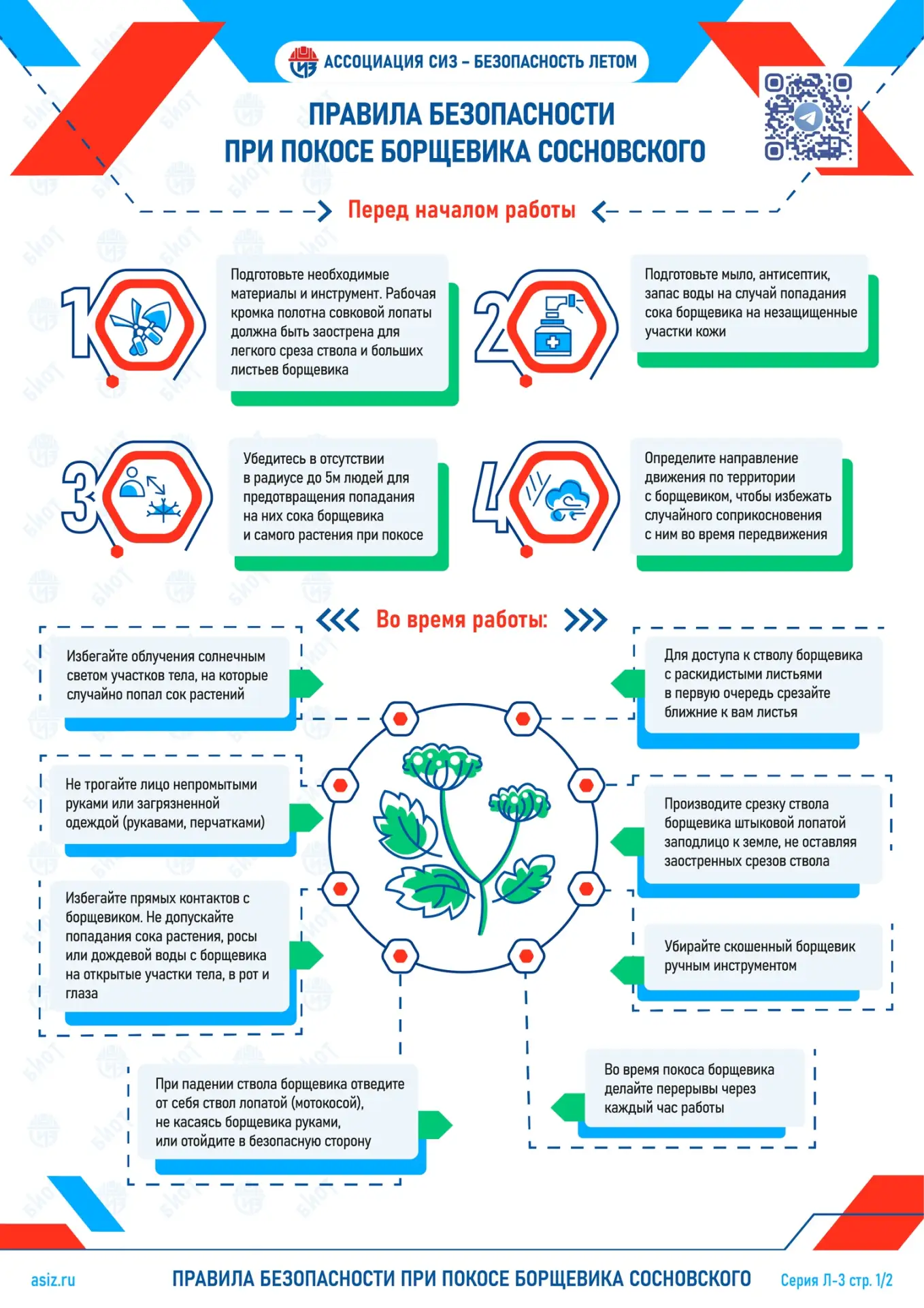 Инфографика от Ассоциации «СИЗ» о безопасности в летний период: покос борщевика Сосновского. Будьте 