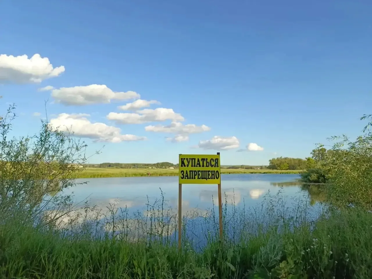 🏊‍♂️🛡️ Внимание, родители и ученики! 🛡️🏊‍♂️
