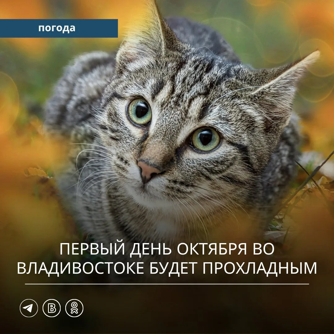 ☀️ Вчера под влиянием поля повышенного атмосферного давления в Приморском крае было спо...