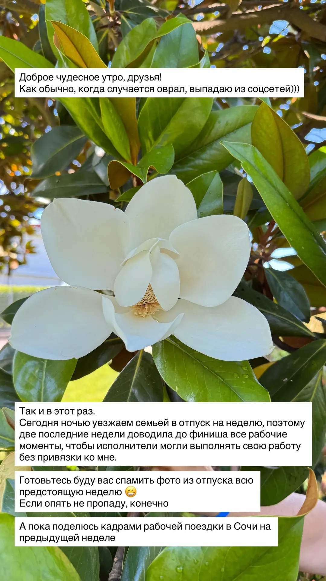 Медиа публикации