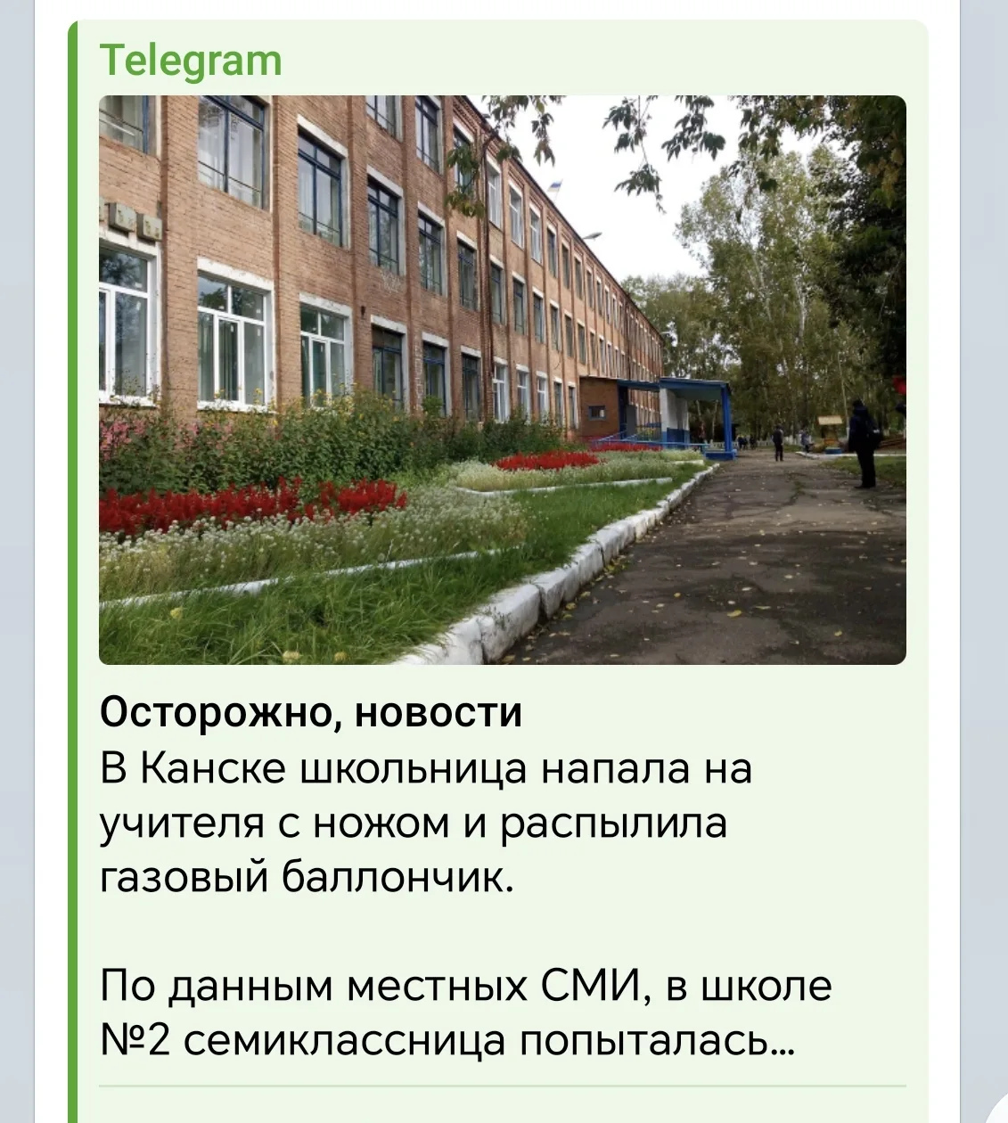 Второй день вижу новости про нападения на учителей и детей