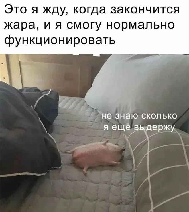 🥵Полсотни человек ежедневно обращаются в больницу из-за аномальной жары в ХМАО 

За первые две неде