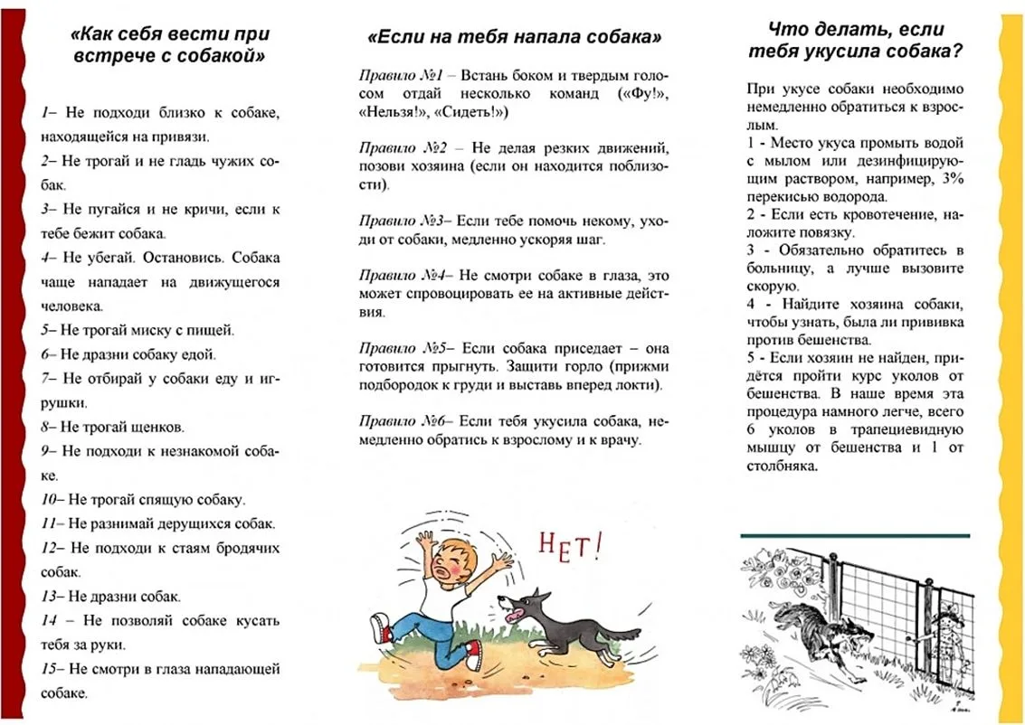 Уважаемые родители (законные представители)! Ознакомьтесь с правилами безопасности