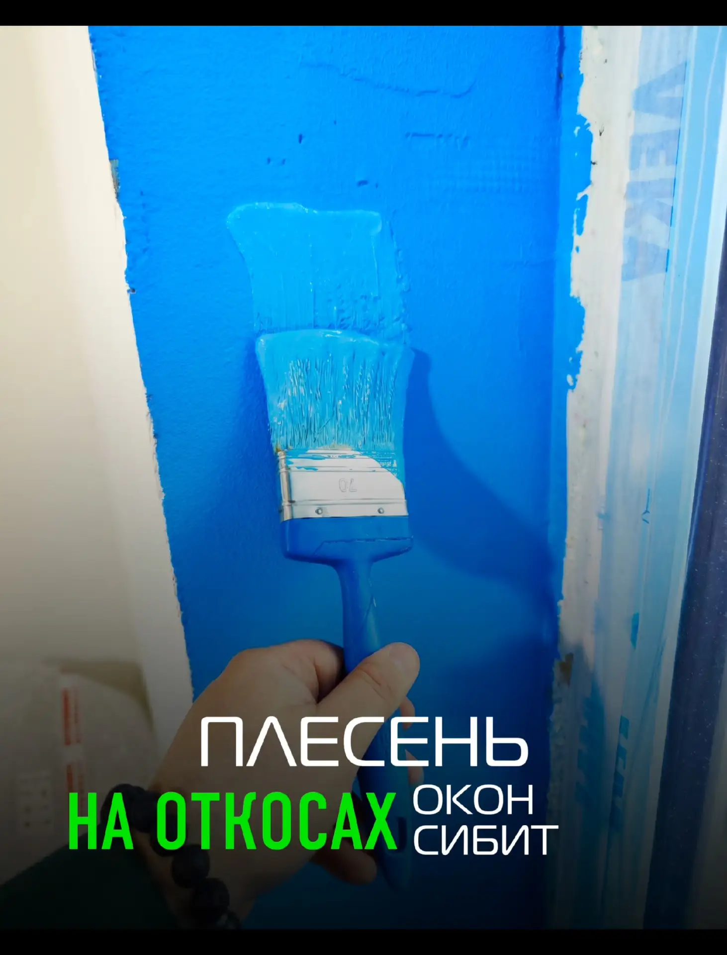 🔥 Плесень на откосах? В Новосибирске это больше не ваша проблема.