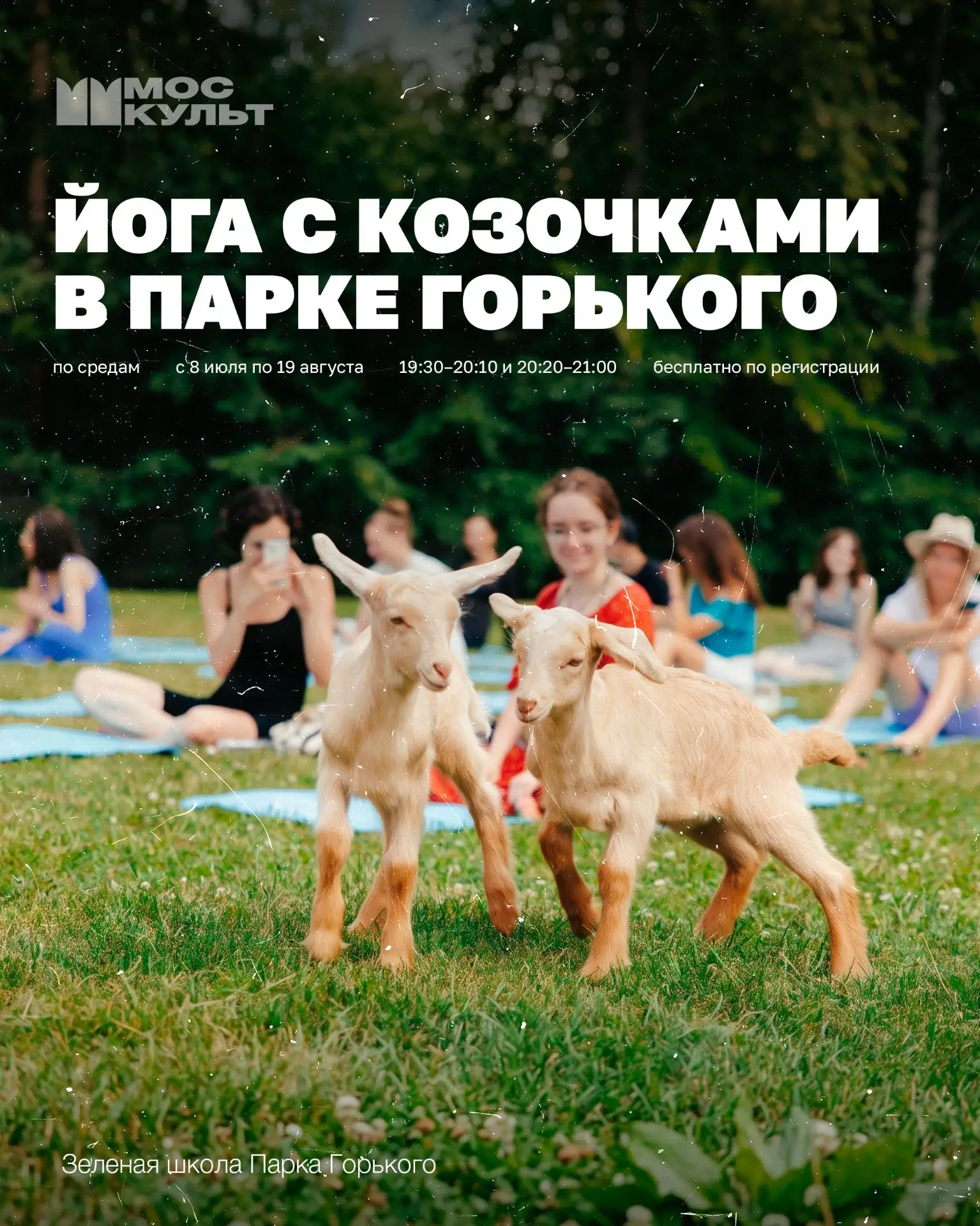 Коврик, свежий воздух и очень необычная компания – в Парк Горького возвращаются занятия йогой с козочками 🥺