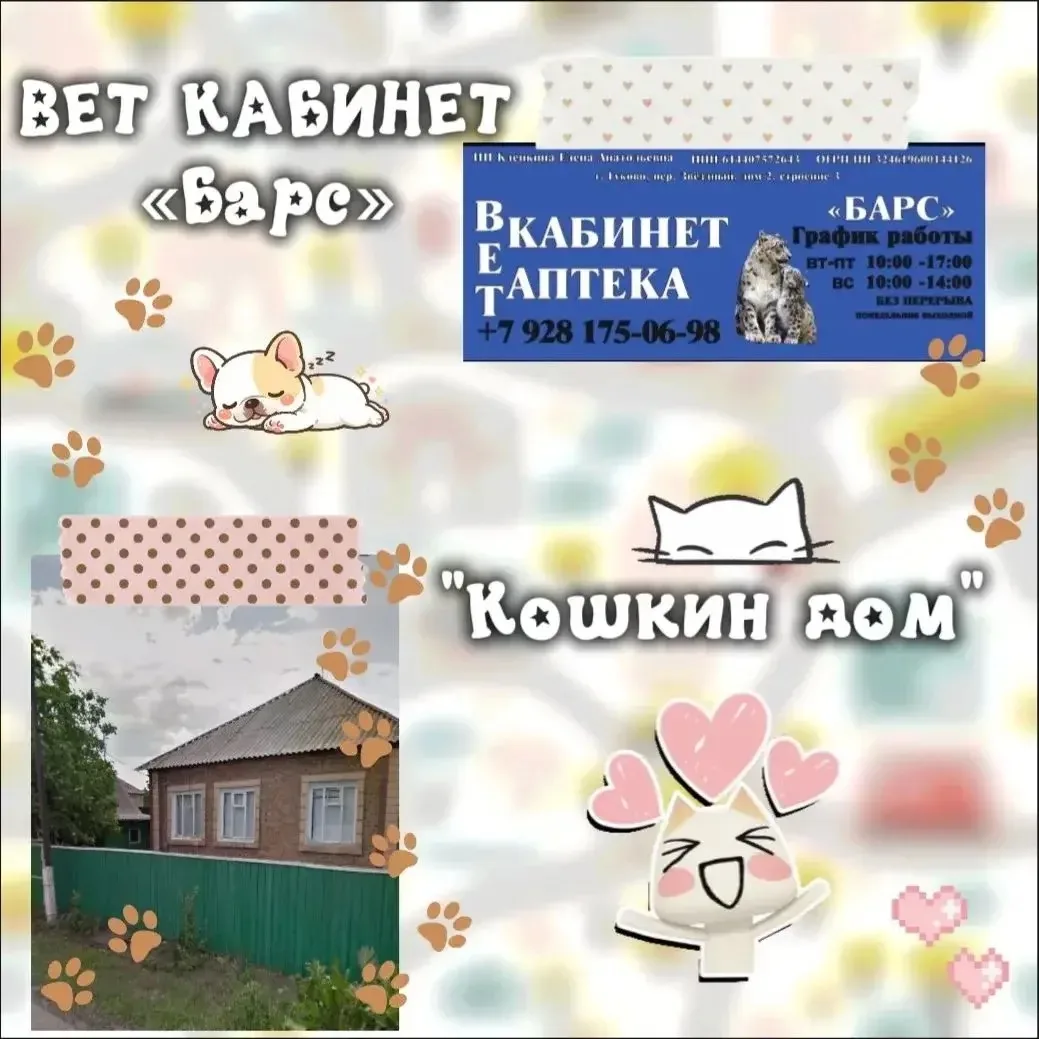4 октября отмечается Всемирный день защиты животных! Это особенный день, когда мы особе...