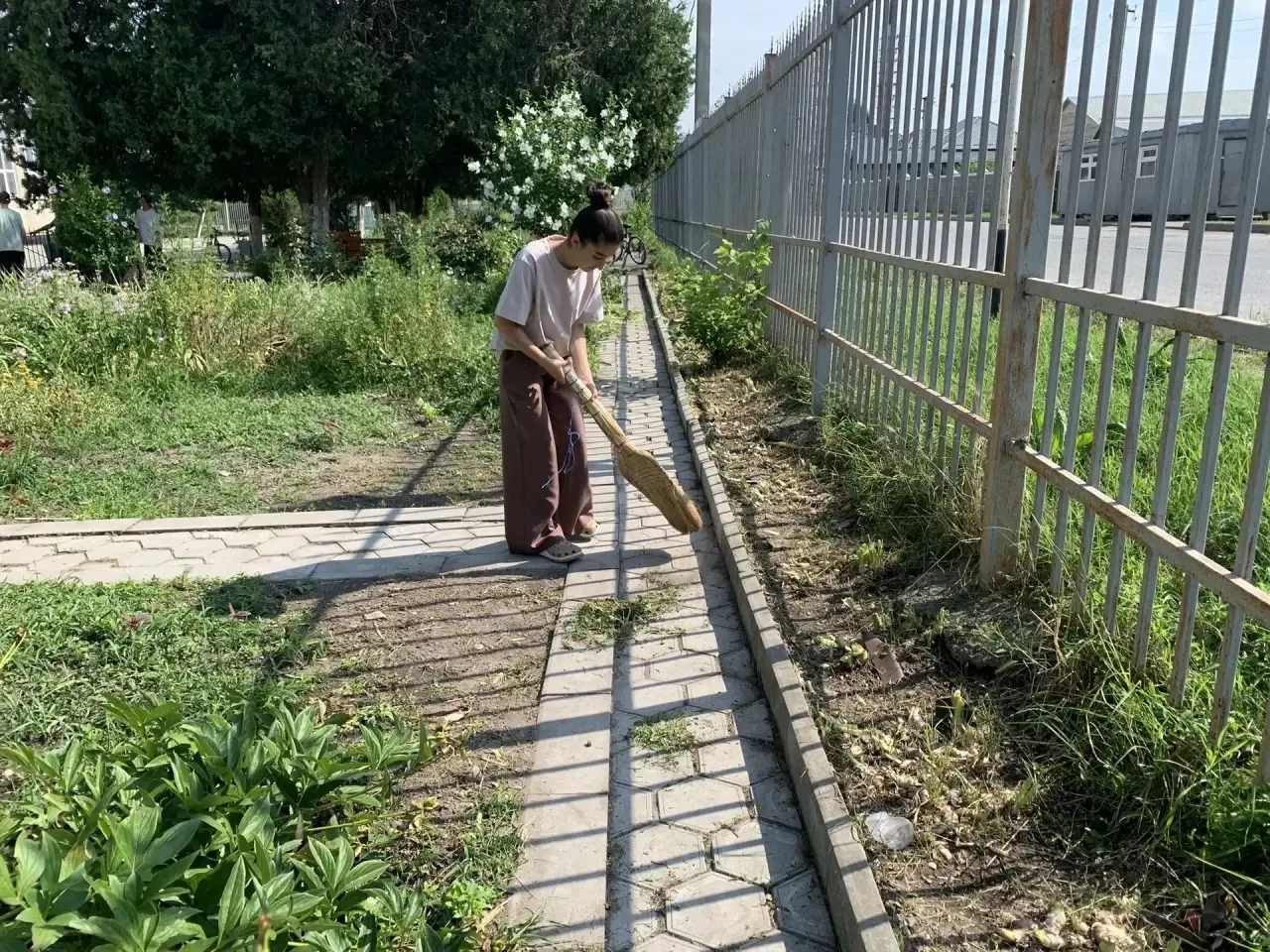 Трудовые будни продолжаются: Летняя практика в разгаре! 🌞