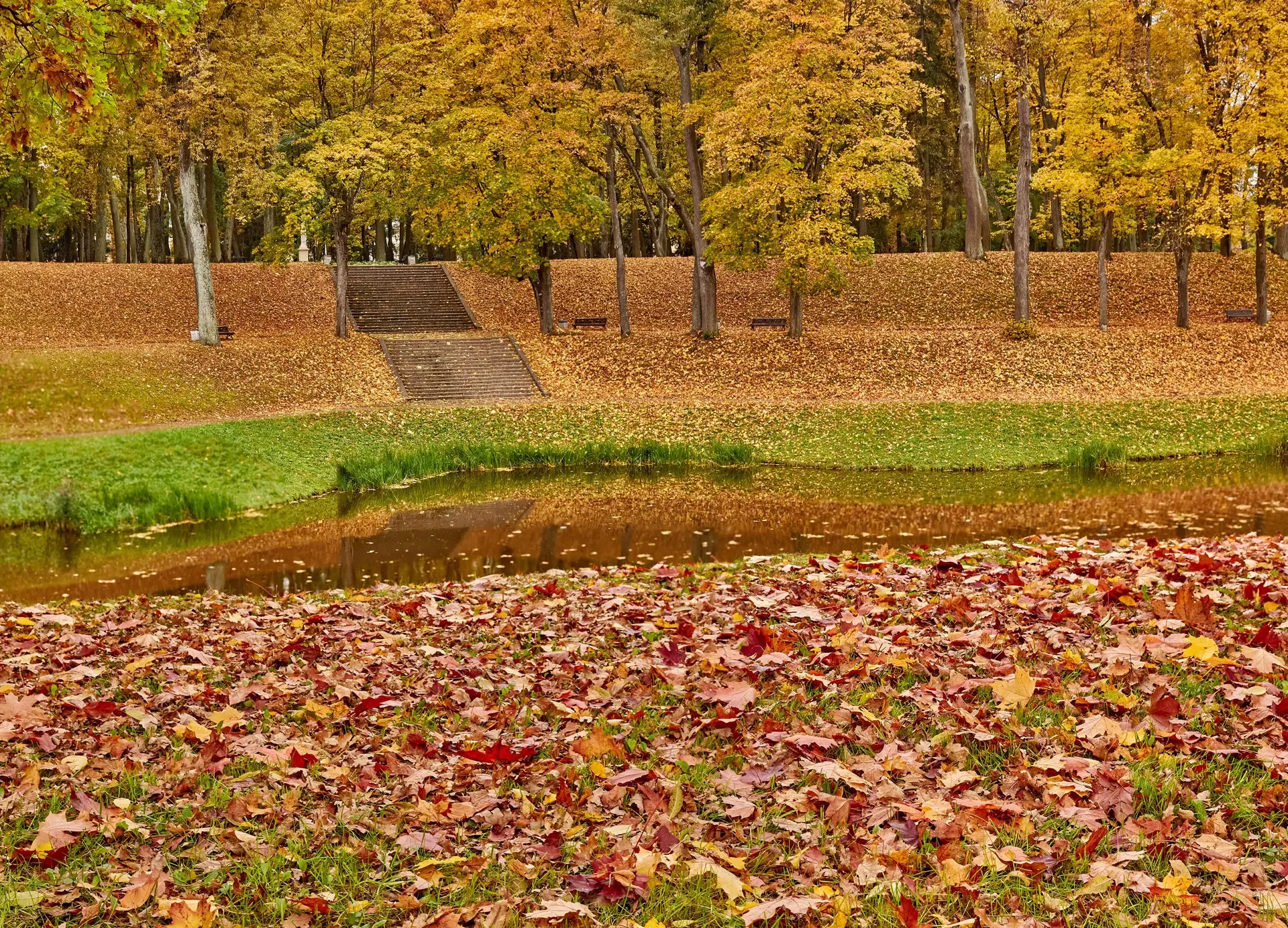 Золотая осень 🍁🍂
