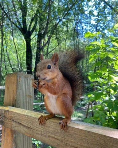 🌳Фотоконкурс «Живая Планета»
