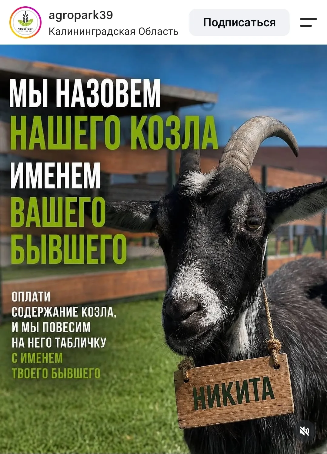 С такой ценой на зерно приходят гениальные бизнес-идеи