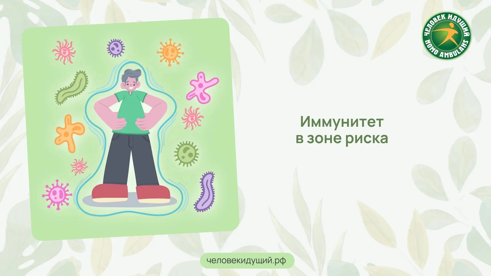 Лишний вес ослабляет иммунитет. Исследование с участием более 540 тысяч человек показал...