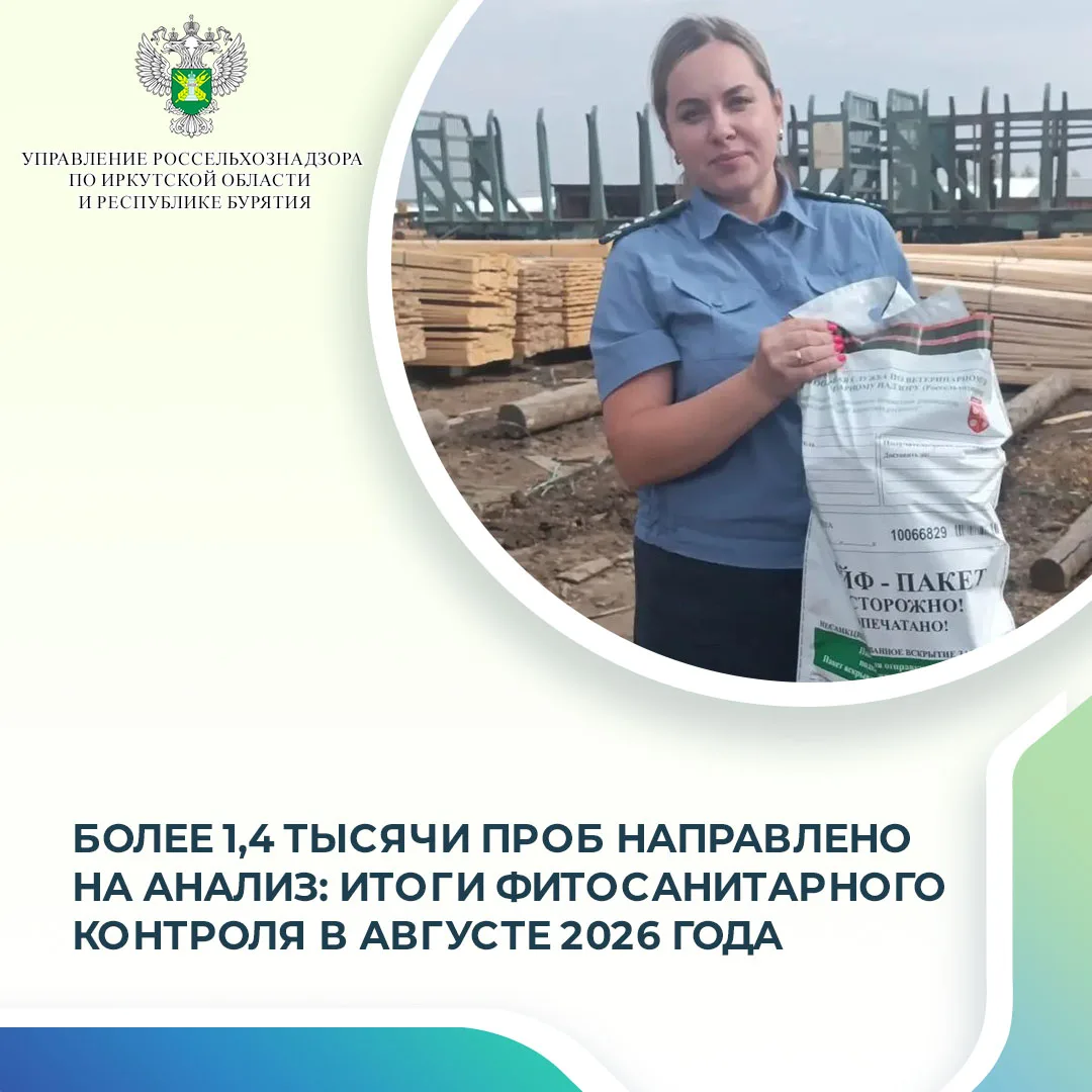 В августе 2026 года Управление Россельхознадзора по Иркутской области и Республике Буря...