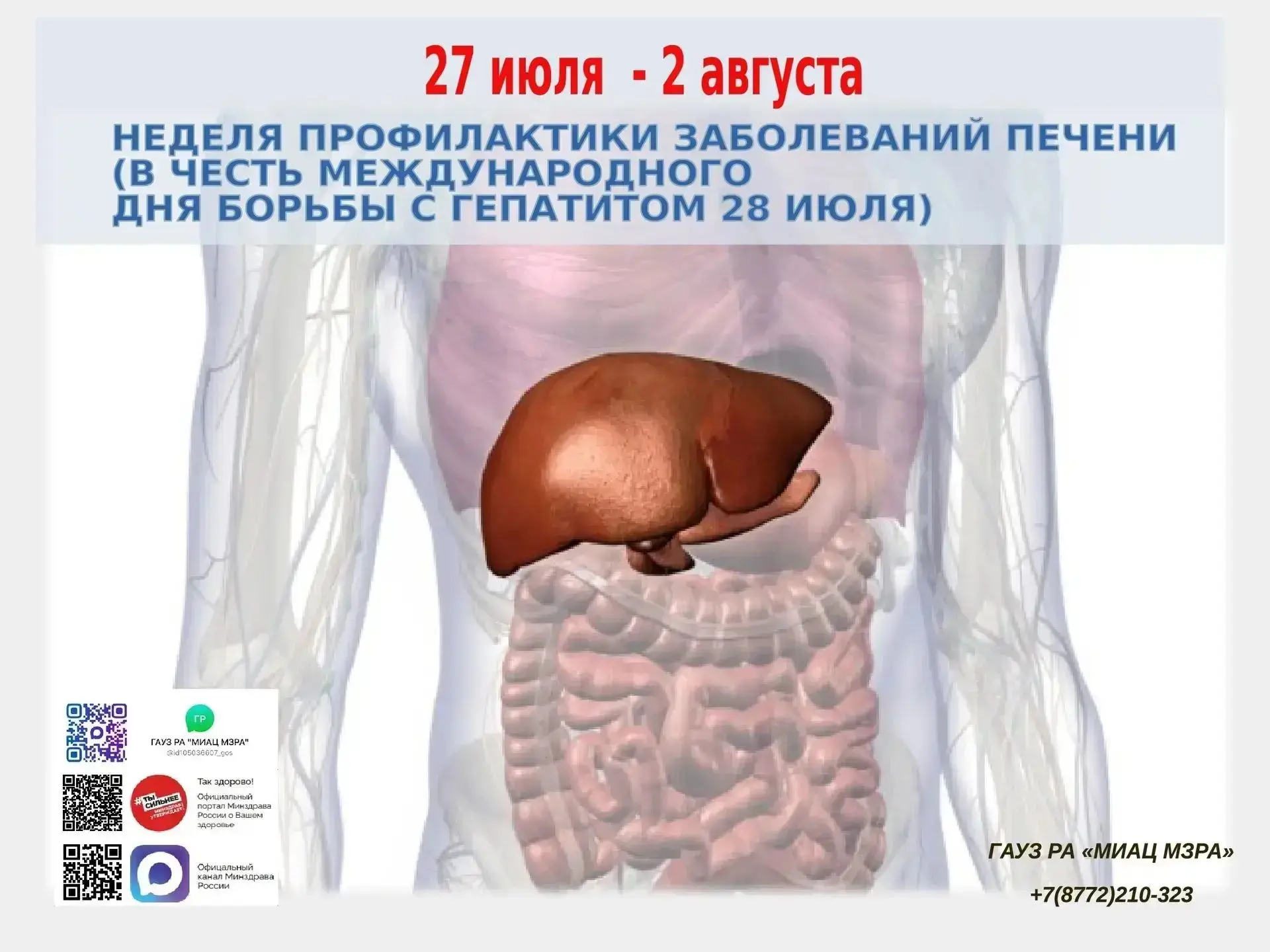 Неделя профилактики заболеваний печени: сохраните свой главный фильтр!

С 27 июля по 2 августа в Рес