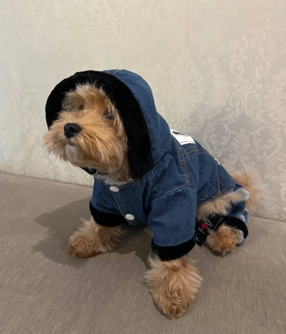 ❤️- милашка