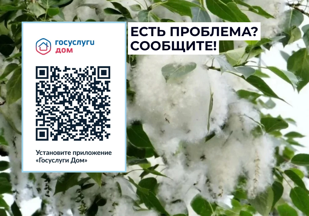 ✅ В «Госуслуги Дом» напомнили, куда обращаться при скоплении тополиного пуха во дворе

☀ С наступлен