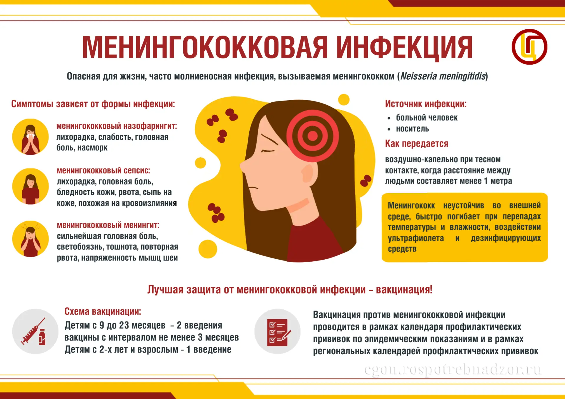 ⚡️Молниеносный убийца или менингококковая инфекция

⚠️Менингококковая инфекция – опасное для жизни и