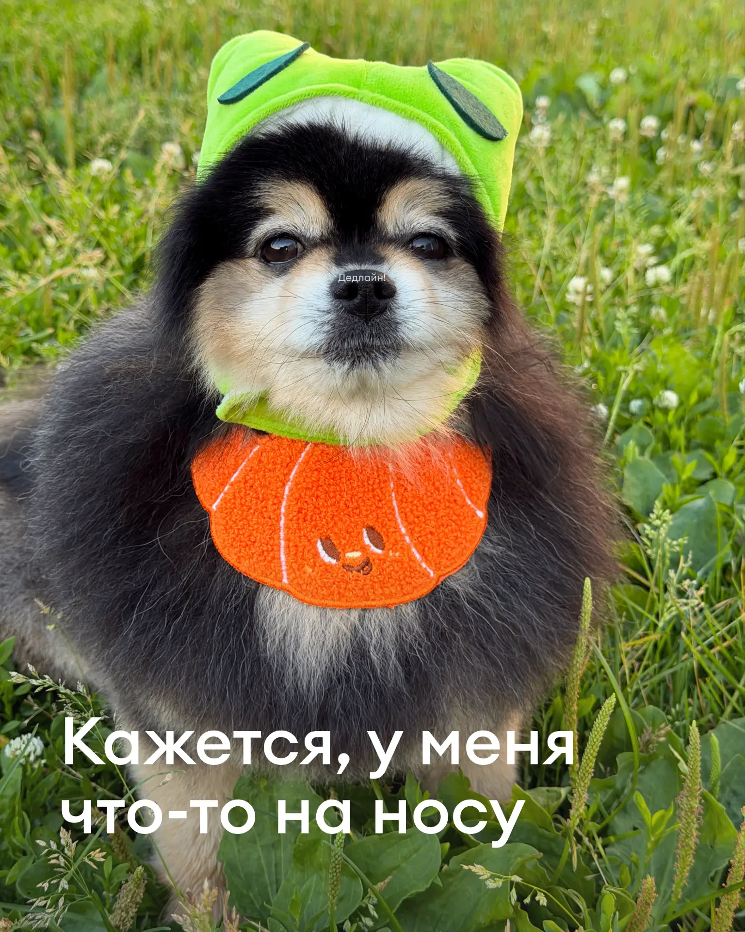 У кого сегодня какие дедлайны?

Если нужно вдохновение и мотивация, чтобы доделать все дела в срок, 