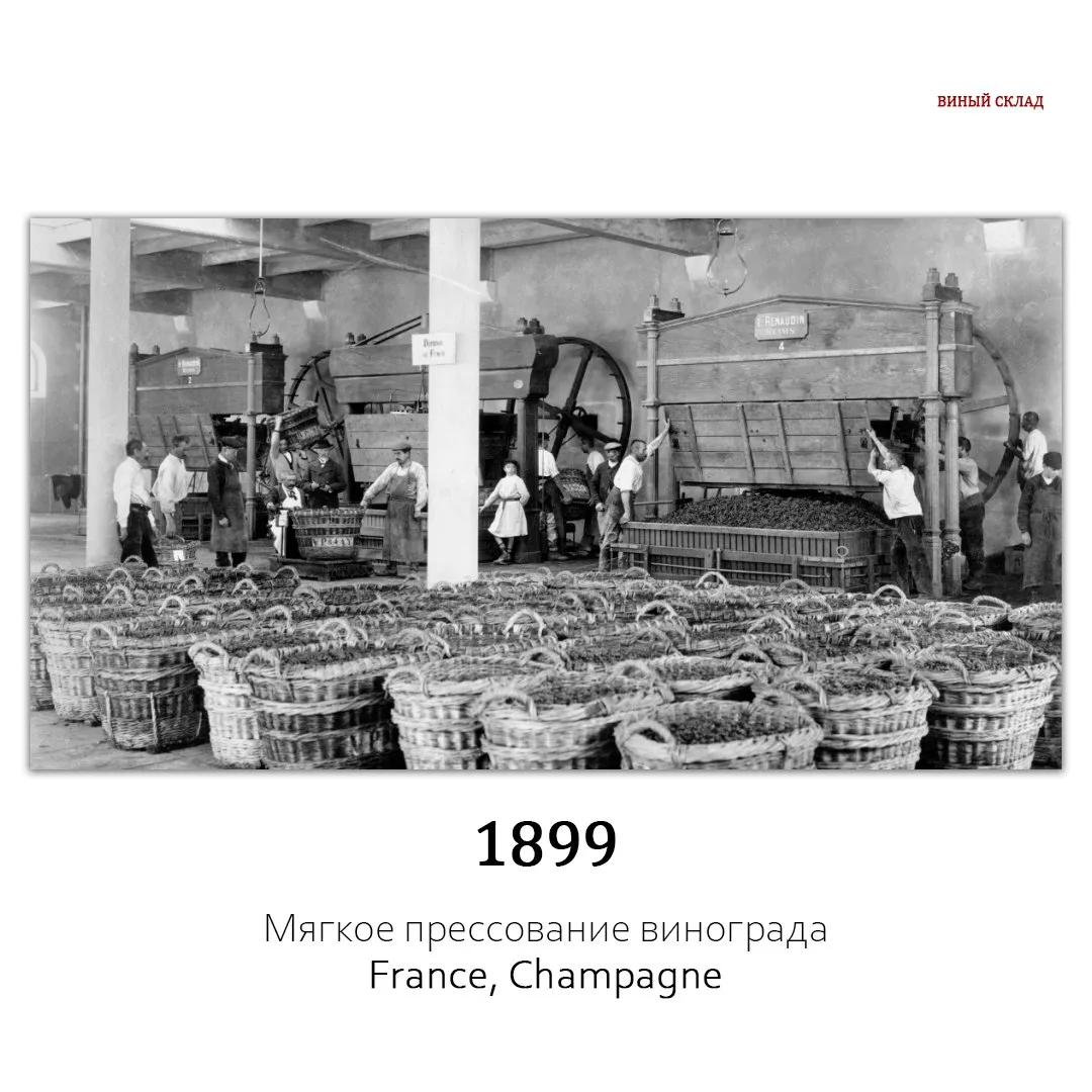 1899 — создание шампанского: мягкое прессование винограда 🍾