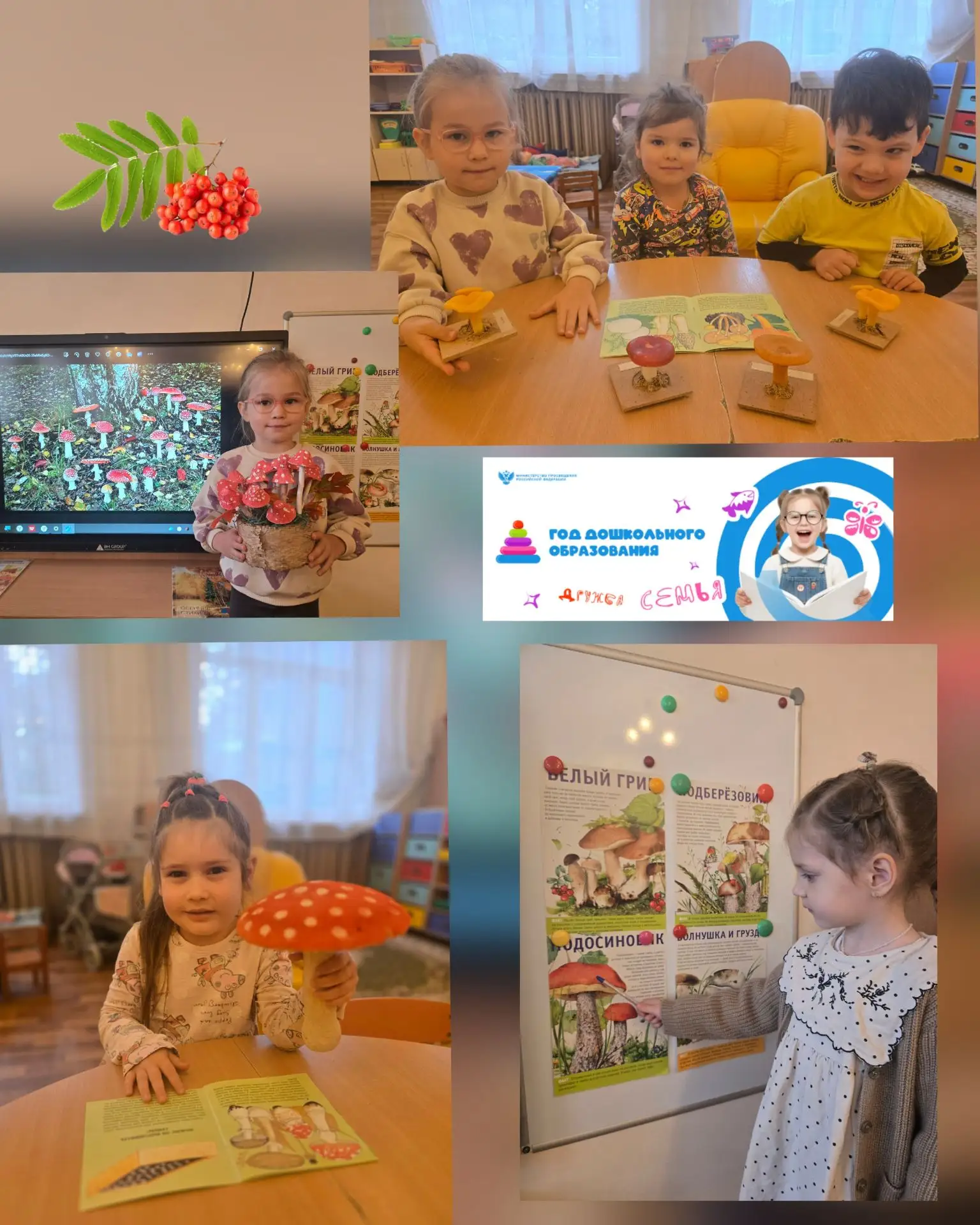 Путешествие в грибной лес: занятие в средней группе! 🌲