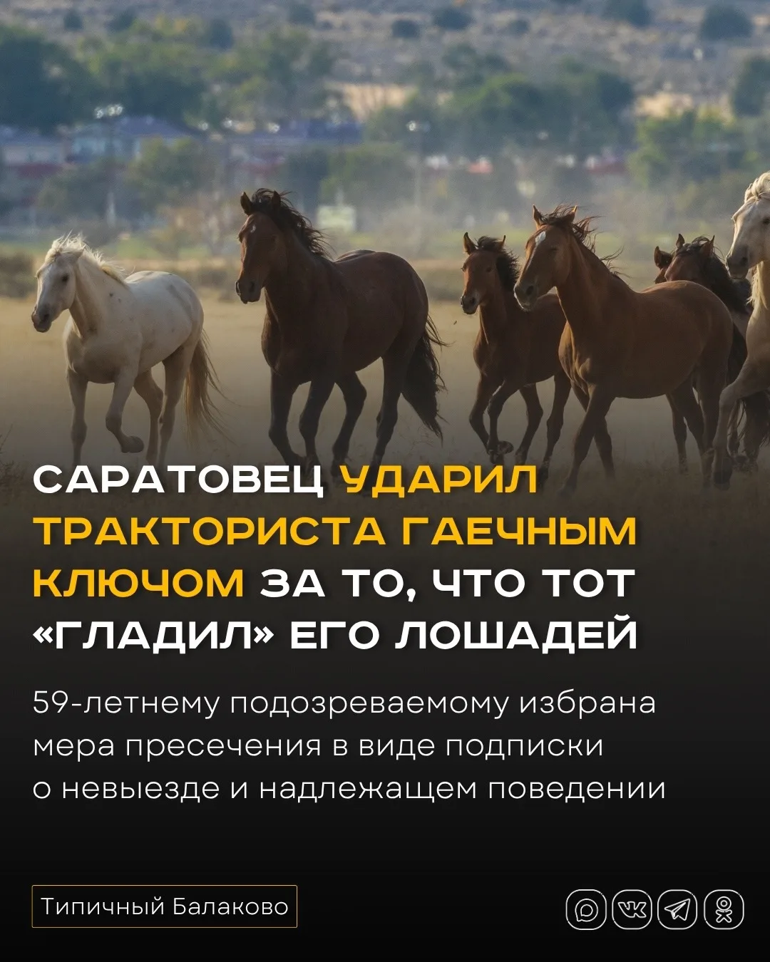 Саратовец ударил тракториста по голове гаечным ключом за то, что тот якобы гладил его л...