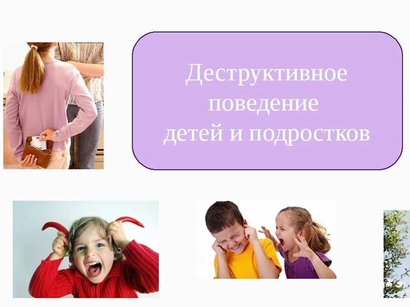 🎯 Причины деструктивного поведения