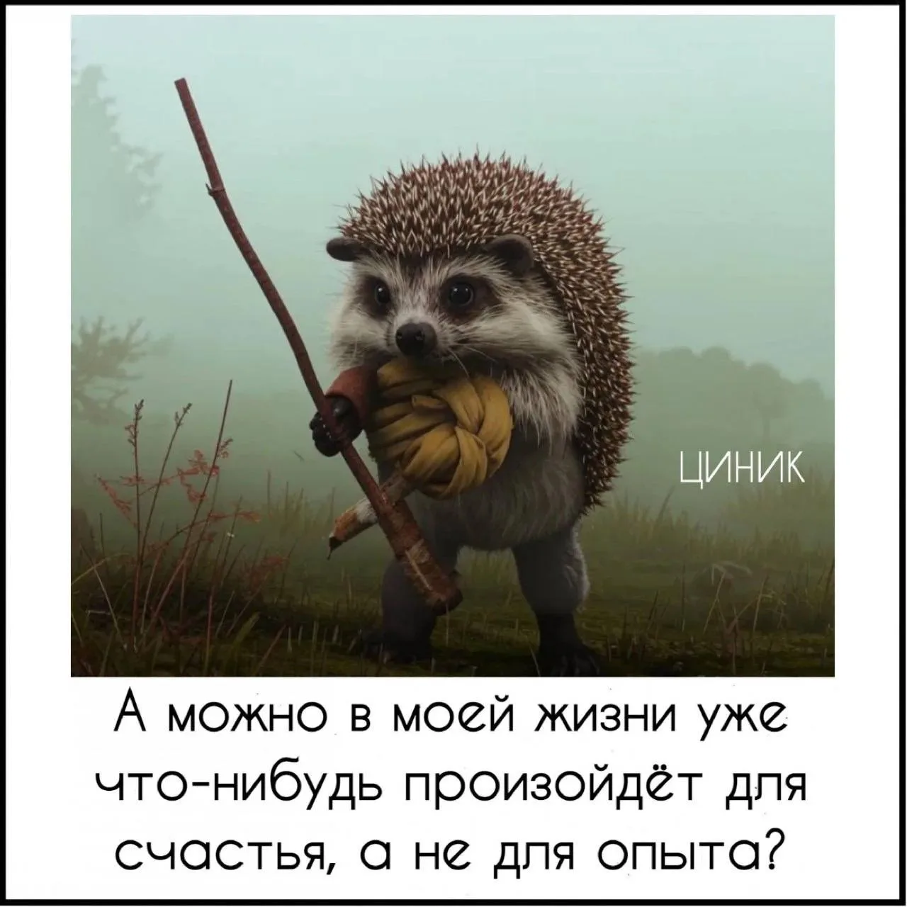 Циник