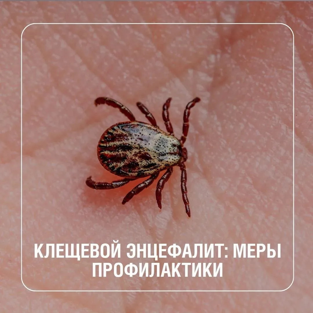 Сугробы еще высокие, но тепло быстро растопит снег.  А значит, сразу активизируются кле...