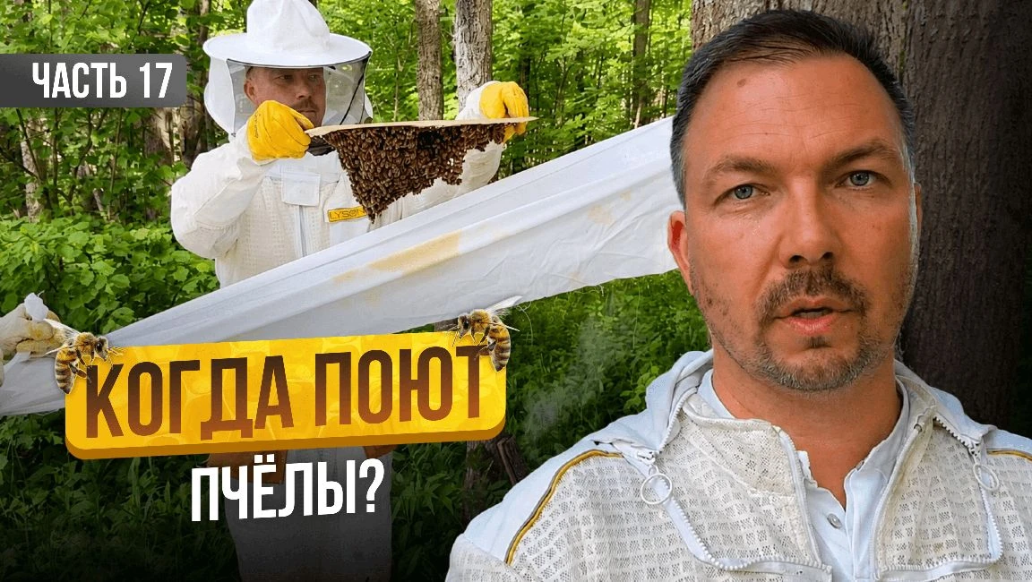 Победа!? ...опять опыт...

Кажется я всё рассчитал. На этот раз я был уверен на все 💯: 

колоды на 
