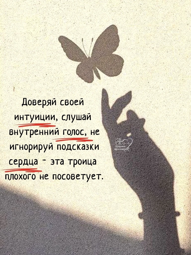 ───⋅୭⋅───